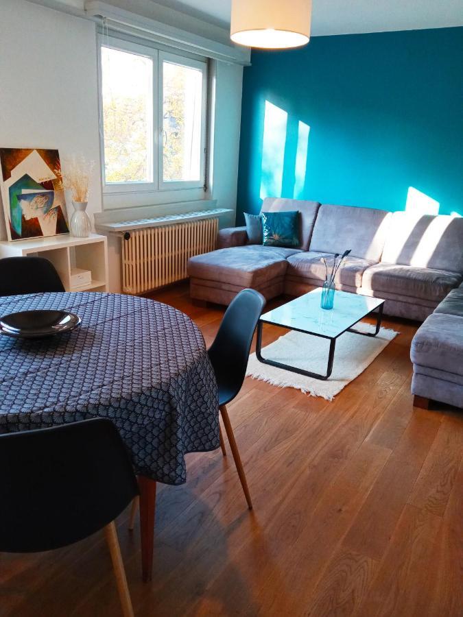 Rare A Colmar - Appartement Champ De Mars Vue Sur Parc - 70M2 - 2 Chambres Ngoại thất bức ảnh